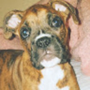 Meet your Posher, Jada